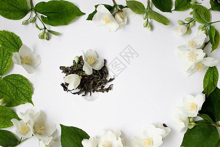 绿色茶叶 有青茉花 在白色的孤立背景上 特写 顶端风景花瓣植被时间叶子茉莉花草本香水高分辨率植物学植物图片