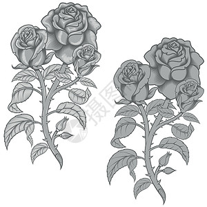 一束 flowerin 灰度科洛的矢量设计植物园丁修剪叶子玫瑰丛花瓣树苗艺术花朵恋爱图片