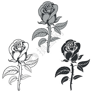 三种不同风格花卉的矢量设计黑白相间图片
