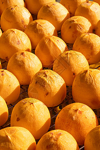 太阳在秋天的筛子里 喷出干燥的过膜阳光水果文化橙子果园日晒食物生产圆圈小吃图片