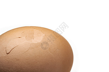 鸡蛋 外壳破碎的鸡蛋特写产品脆弱性奶制品事故饮食烹饪食品营养食物农场图片
