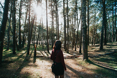 一个年轻女子在森林中间 向着镜头看去 带着复制空间的女青年图片