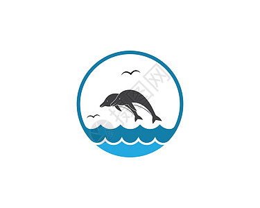 海豚标志图标 vecto标签圆圈曲线艺术公园海浪字母插图身份蓝色图片