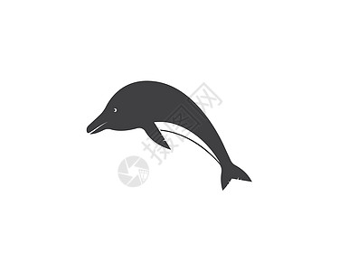 海豚标志图标 vecto圆圈蓝色身份动物插图生活卡片商业海浪白色图片