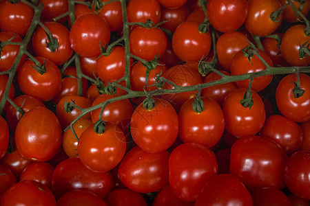 红番茄背景红色蔬菜市场作品水果背景图片