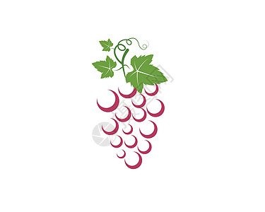带有叶子图标矢量图案的葡萄果实酒厂标签植物紫色水果酒精农业藤蔓菜单浆果图片