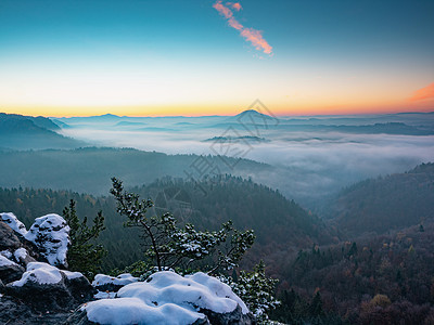 清晨白雪峰 在迷雾国家寒冷的觉醒天空旅行阳光树木小路季节山脉照明阴霾草地图片