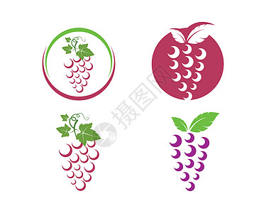 带有叶子图标矢量图案的葡萄果实菜单植物收成食物标签酒厂葡萄园酒吧浆果酒精图片