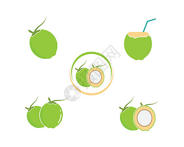 椰子矢量图标插图设计绿色饮料可可牛奶营养白色水果棕榈热带香气图片