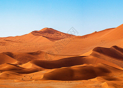 纳米布沙漠的美丽世界摄影旅游狂旅游博主游记纳米布旅行者图片日记图片