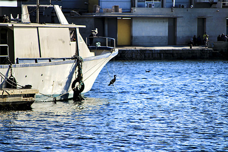 在阿利坎特圣波拉港停泊的渔船船运观光水手血管绳索钓鱼蓝色圣波运输夹板图片