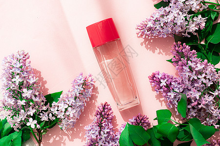 一瓶香水和淡紫色背景上的粉红色 女士香水 春天的芬芳 芳香疗法 好闻 美丽与时尚 关于香水选择的文章 一篇关于当前口味的文章 复图片