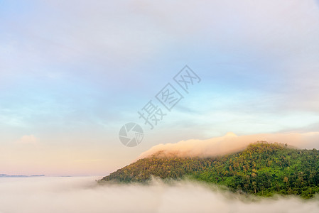 Khao Kho村山谷的雾公园森林景点风景阴霾旅行蓝色薄雾爬坡游客图片