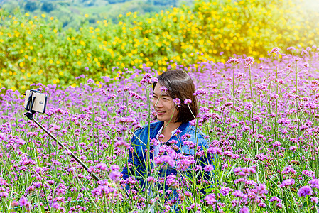 女人在Verbena花田自拍图片