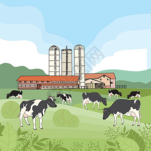 奶牛在草地上吃草图片