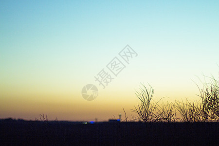 日落的风景 其树枝印在周光中黑色橙子木头植物天空蓝色森林季节红色场景图片