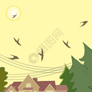 鸟类雨燕燕子在 sk背景图片