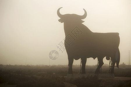 阿利坎特的神秘和典型奥斯本公牛天空午休动物传统场景斗牛士环形场地地标斗牛图片