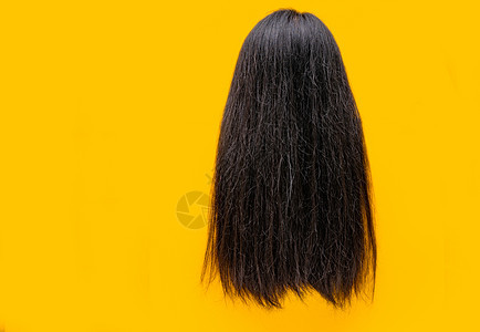 在黄色背景上隔离的受损头发 头发干燥和脆弱的问题 黑色长发 质地干燥 头发脆弱脆弱的亚洲女性需要治疗护发素和水疗 头发不健康图片