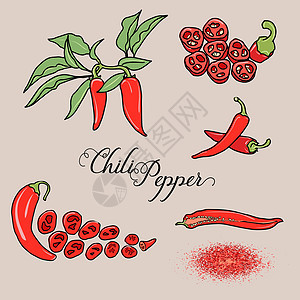 辣椒矢量集 在切碎的红辣椒切碎的红辣椒切片中的 brancha 豆荚上撒上胡椒粉 米色背景上的彩色插图图片