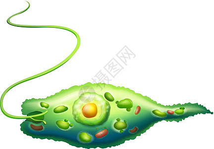 绘画展尤伦咸水实验伸缩泡多糖眼点合成柱头实验室挖掘机生物插画