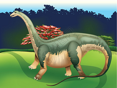 Apatocolus 亚帕松颈椎动物化石蜥脚类爬行动物软组织历史古生物学绘画恐龙图片