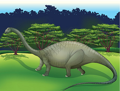 Diplodocus 维洛多斯侏罗纪化石灭绝历史重龙恐龙绘画古生物学蜥脚类食草图片