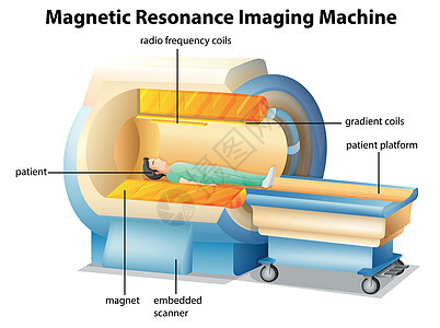 MRI 核磁性电气机械核磁共振密度磁铁技师扫描器原子核矢状成像图片