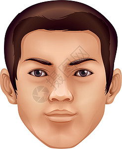 人的脸鼻子鼻肌睫毛解剖学生物学鼻孔药品皮肤下巴绘画图片
