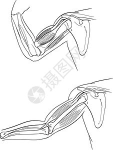 人性化图片