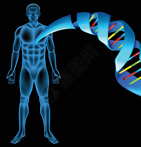 脱氧核糖核酸图表代码科学生物螺旋染色体克隆技术药品顺序图片