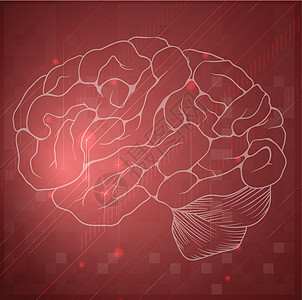脑中枢神经大脑解剖学额叶系统生理健忘症男人脑脊液动脉图片