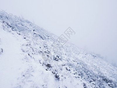 一片荒凉的山坡 极端的地形 有新鲜的粉雪 隐藏在浓雾中的道路图片