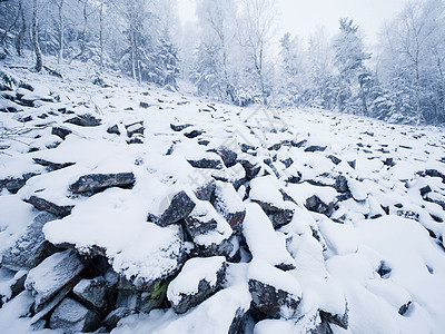 与岩石地形相近 有新鲜的粉雪 隐藏在浓雾中的风景悬崖高地薄雾冰川云杉天空远足山峰地平线山脉图片