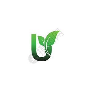 带有绿色叶子图标徽标设计模板它制作图案的字母 U图片