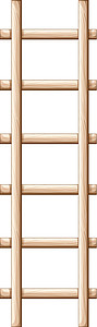一个木梯子猫梯科学垂直白色纵梁钩梯脚步果园绘画阁楼图片
