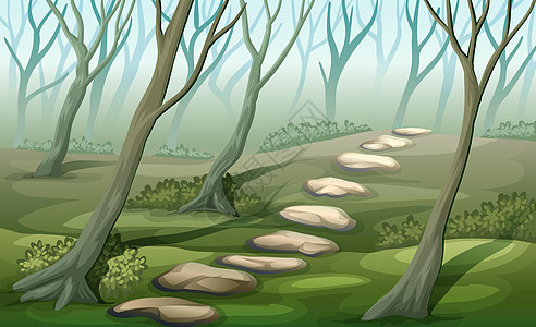 森林植物热带雨林防洪栖息地日志丛林礼物分支机构木头石头背景图片