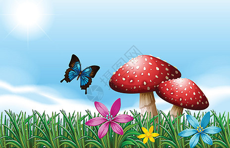 在红色蘑菇附近的一只蝴蝶图片