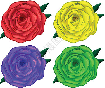 四朵五颜六色的玫瑰图片