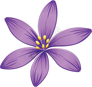 五瓣紫花图片