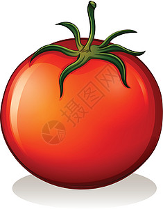 一个大的成熟番茄酱料饮料白色生食浆果西红柿植株红色植物科植物图片
