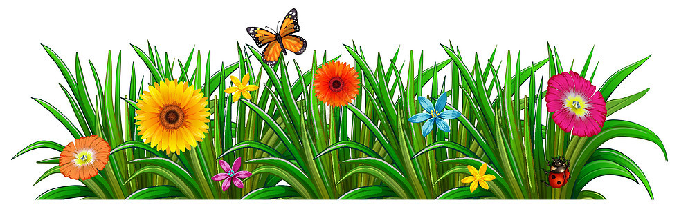 花园里有鲜花盛开的蝴蝶和瓢虫图片