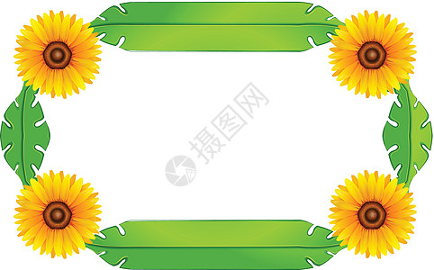 花卉边框设计风格花瓣绘画黄色装饰绿色叶子树叶植物向日葵图片