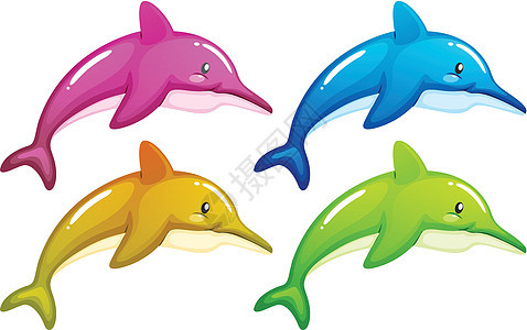 四只海豚图片