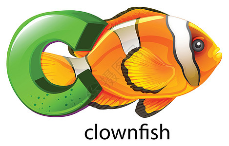 小丑鱼的字母 C图片