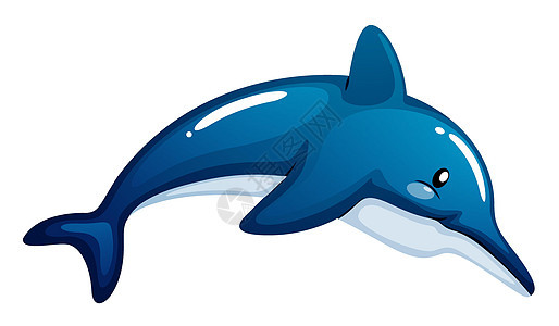 海豚渔夫钓鱼动物学冷血神灵颅骨蓝色避难所动物下巴图片