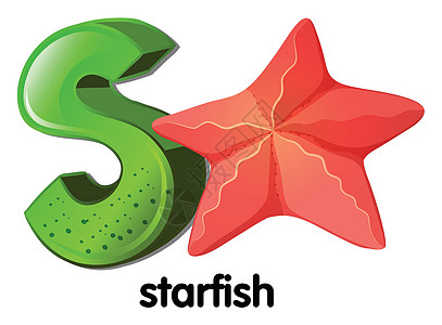 starfis 的字母 S图片