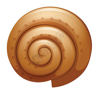 一个贝壳绘画艺术家棕色艺术品螺旋形艺术花色白色反射对称性背景图片