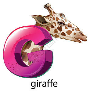 长颈鹿的字母 G动物艺术家艺术首都哺乳动物骨锥外套反刍动物脖子大写图片