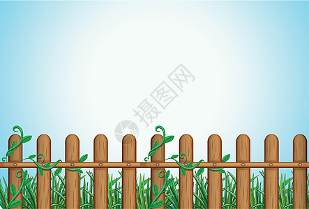 一个木栅栏藤蔓建筑藤本植物边界树叶绘画阳光蓝色花园绿色图片